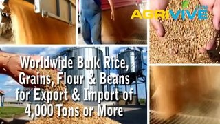 Bulk USA White Rice Dealer, USA Wholesale White Rice, USA Wholesale White Rice, USA White Rice Wholesale, USA Wholesale