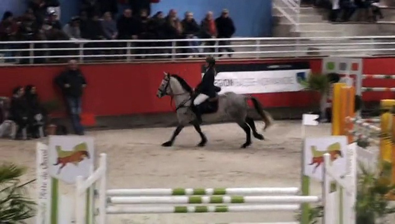 United Grey Motets - 7ans future élite TDA Saint Lô - 24 janvier 2015