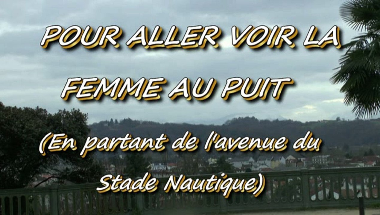 LES PROMENADES DE MICHOU64 W-D.D. - 27 JANVIER 2015 - PAU -  POUR ALLER VOIR LA FEMME AU PUITS  DE E. GABARD.