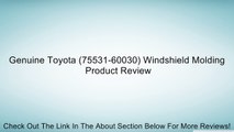 Genuine Toyota (75531-60030) Windshield Molding Review