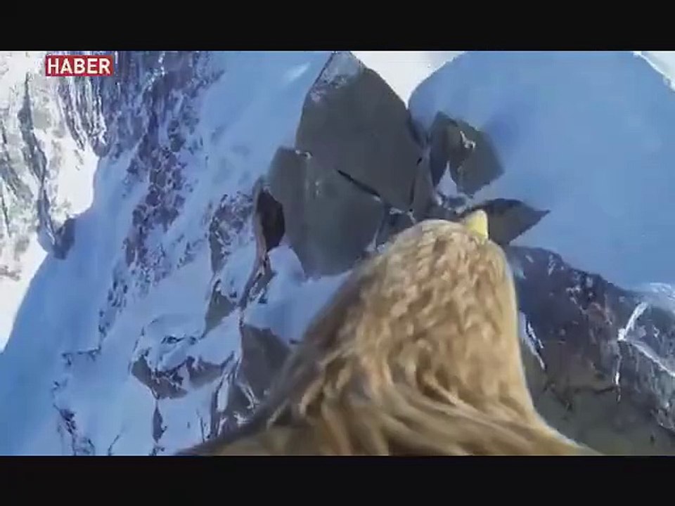 Kartala kamera takılırsa ilginç