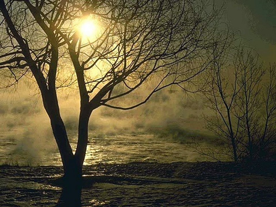 Hafız Menduh- Kani Muhammed Mustafa(s.a.v) Kasidesi