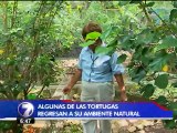 Una mujer y su refugio se encargan de cuidar tortugas heridas o abandonadas