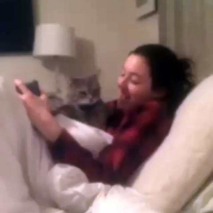 Chanter avec son chat