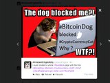 024 Why I created SoulTradeGame 2 Experiences Psychology Cats vs Dogs BitcoinDog
