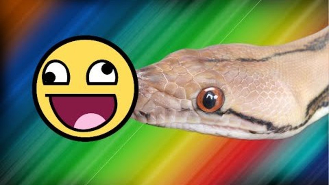 JakesGotHerps Reptile Collection Outtakes!