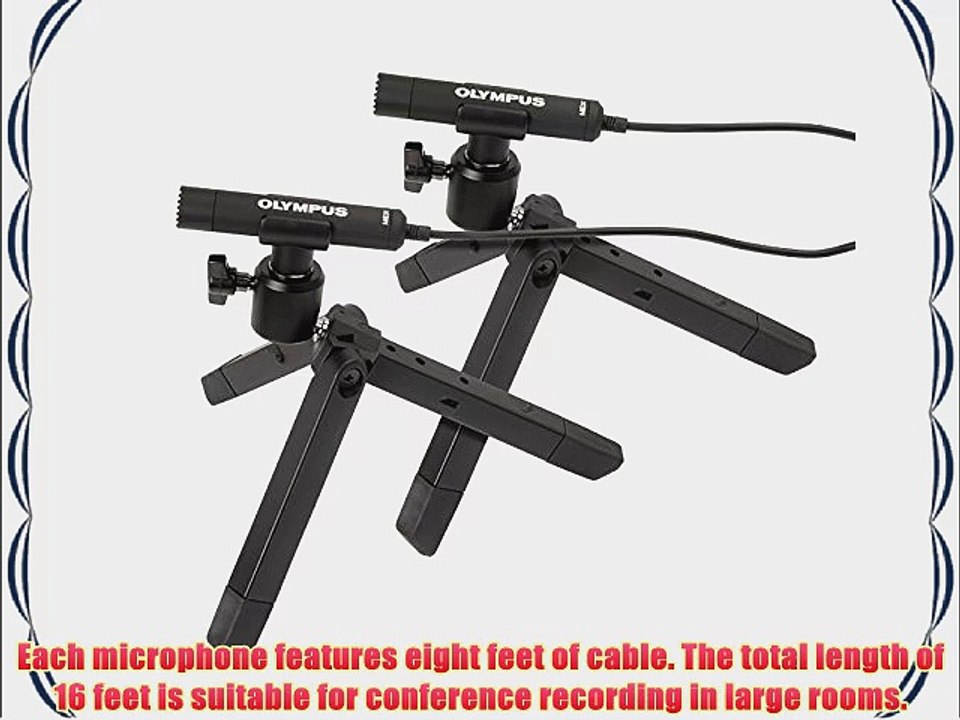 Olympus ME30W 2 Channel Microphone