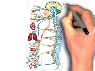 How Chiropractic Prevents Degenerative Joint Disease