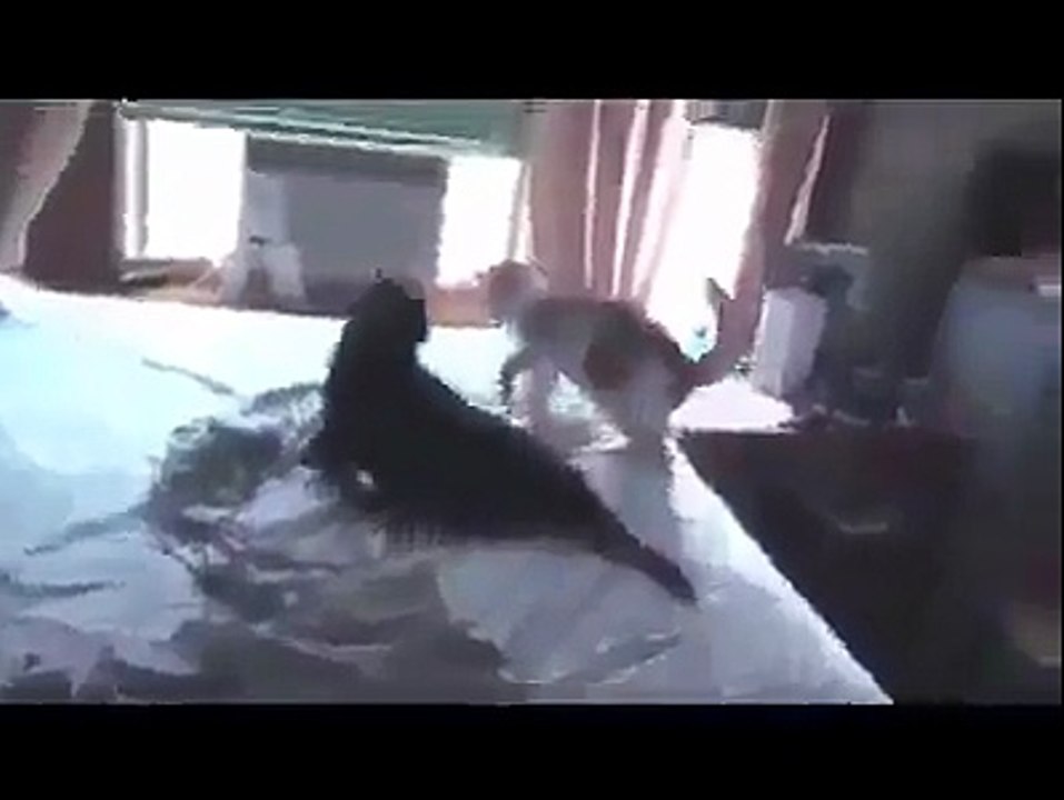 This Is Sparta