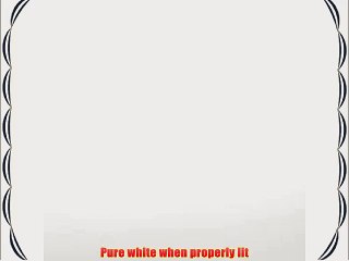 Savage 8x20' Matte Finish Pure White Infinity Series Vinyl Background