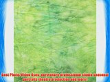 StudioPRO Hand Painted Tie Dye Spring Green Muslin Backdrop 10' x 20' Photography Studio Background