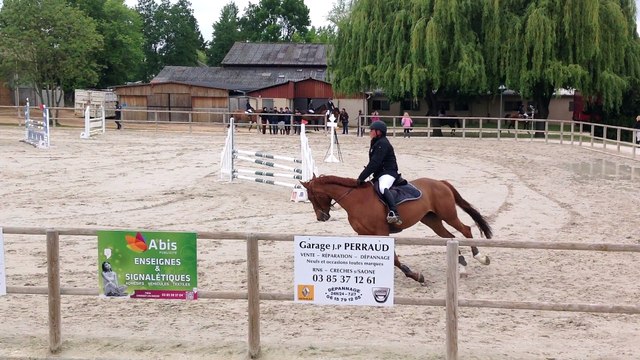 (parcours) A vendre jument SF 9 ans Origine: cabdula du tillard / artichaut.