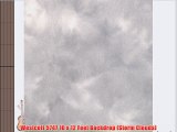 Westcott 5747 10 x 12 Feet Backdrop (Storm Clouds)