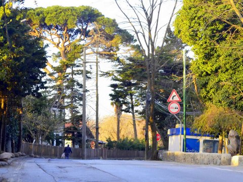 Lüleburgaz Gezi Dostları(Polonezköy,Şile,Ağva ) Gezisi