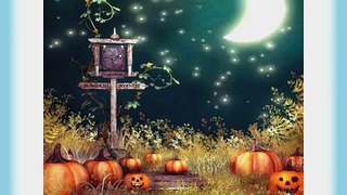 Halloween Pumpkins 10' x 10' CP Backdrop Computer Printed Scenic Background
