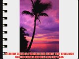 Printed Photography Beach Sunset Background Titanium Cloth TC388 Backdrop 5'x6' Ft (60x80)
