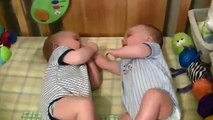 Twin Baby Boys Laughing at Each Other!! - funny babies