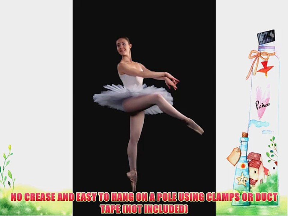 Black Vinyl Photo Studio Background 6'x9' Feet Rolled Photography Backdrop