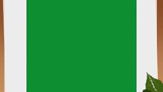 Westcott 5779 10 x 12 Feet Backdrop (Chroma-Key Green)