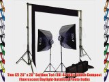 CowboyStudio 2000 Watt Digital Video Continuous Lighting Kit with Carrying Case 10 X 12ft Black