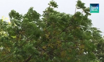 Cold wave grips most parts of Pakistan