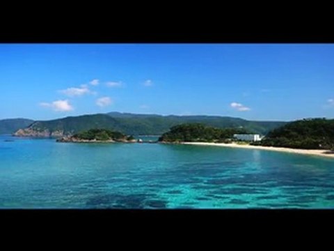 Pez es capaz de hacer círculos en la arena