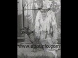 Homenaje a Maurice Carver Tribute. Pitbull apbt.