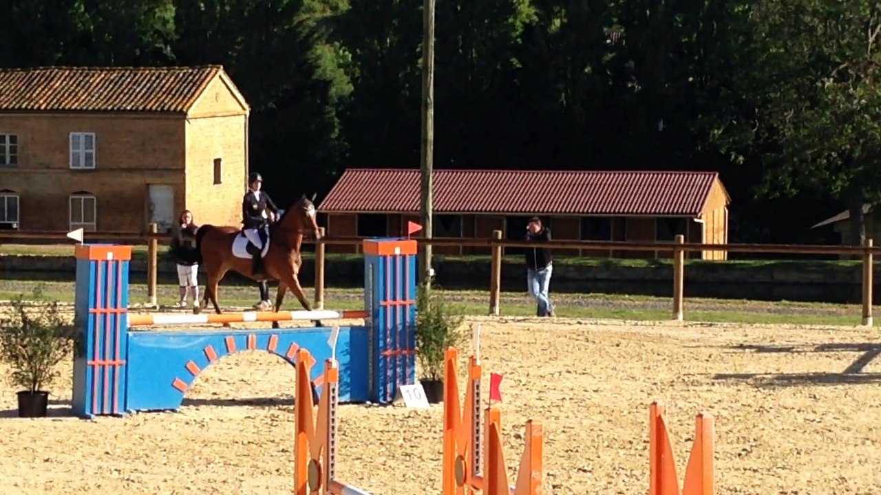 HARAS KRF QUI ES TU LOU DENICE