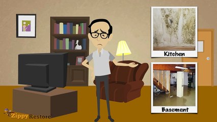 Emergency Flood Cleanup Tampa FL | 888-682-4177 | ZippyRestore