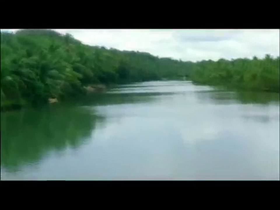 Bollywood