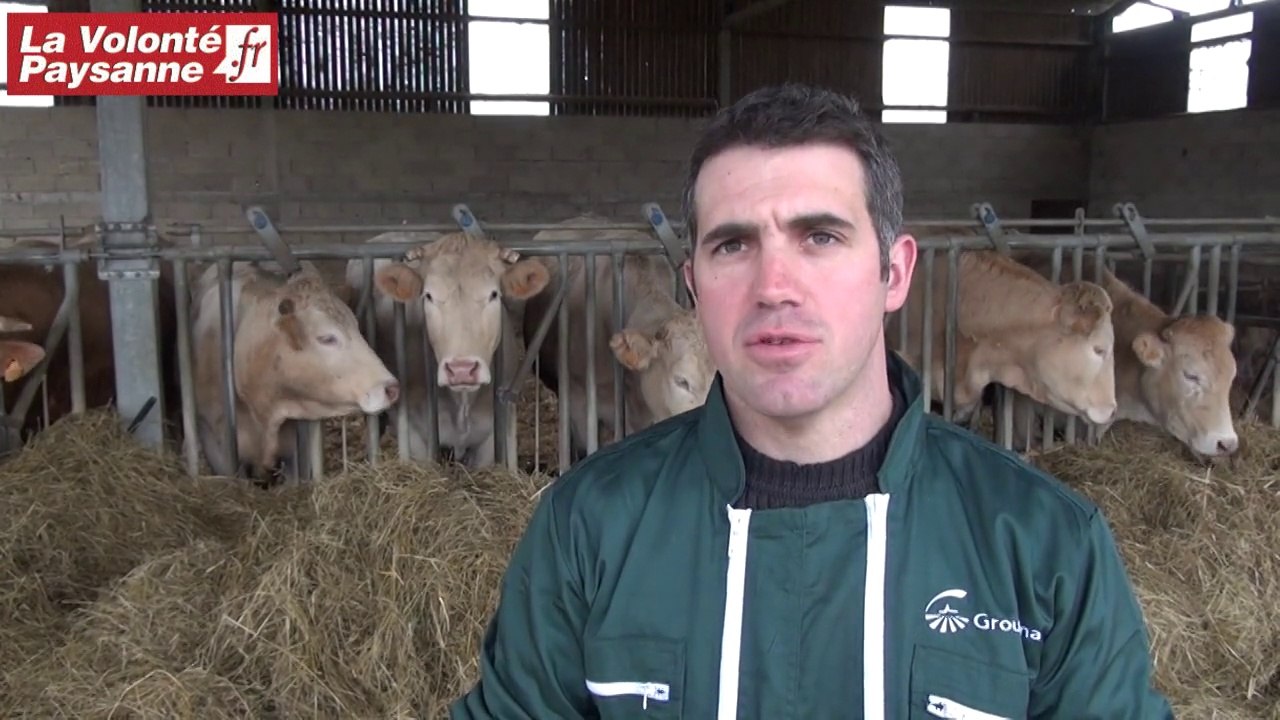 La passion des Blondes d'Aquitaine (Aveyron)