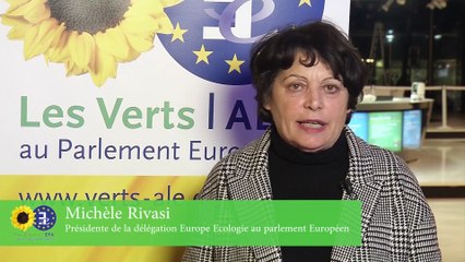 Michèle Rivasi présente les grands enjeux de la mini plénière à Bruxelles
