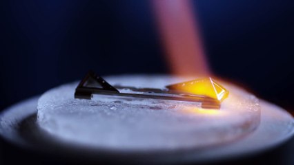 Audemars Piguet : Diamond Punk