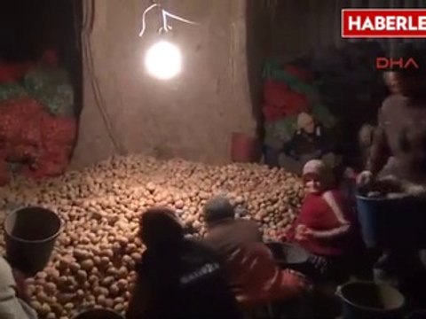 Nevşehir Patateste Spekülatif Artış Olmaz