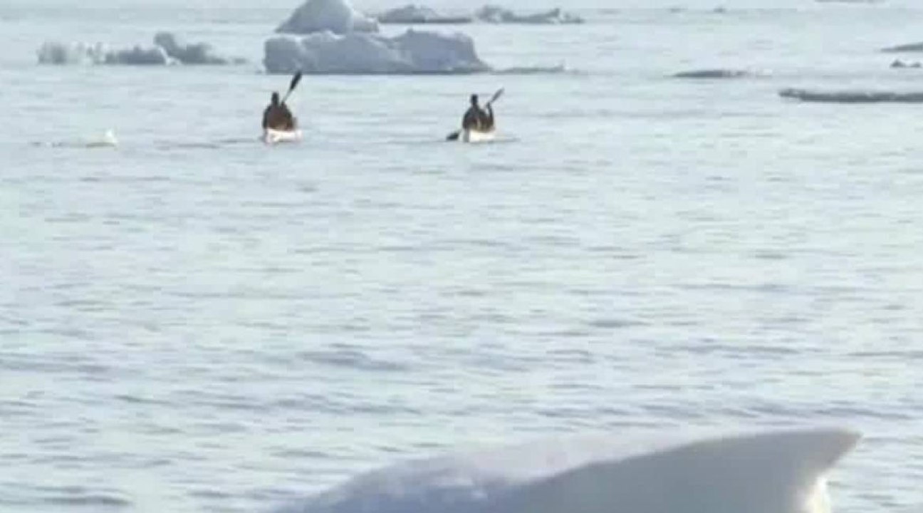 Une expédition plongée au Groenland