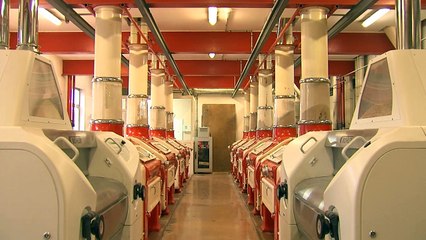 Bassuette Retrodor - Du blé au pain