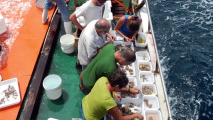 Interview de Philippe Bouchet - Expédition Guyane 2014-2015, La Planète Revisitée