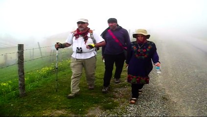 sisler içinde yürüyorum