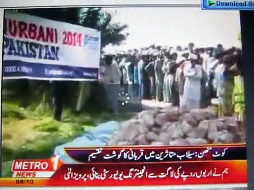 UMMAH QURBANI NEWS