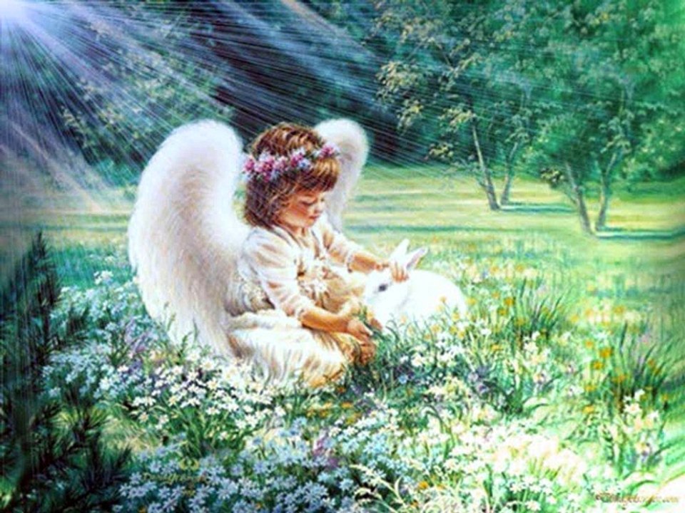 LES ANGES DU MATIN