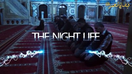 The Night Life