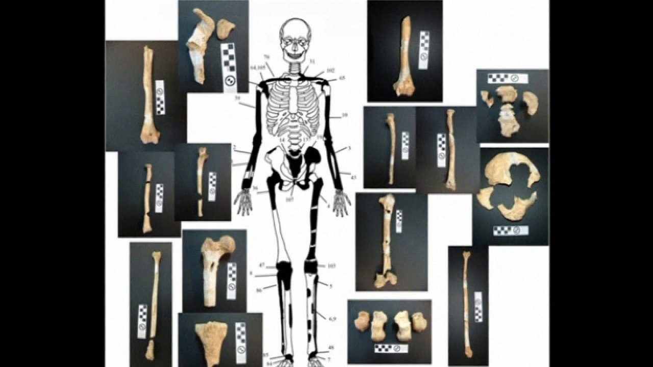 Ancient skeletons found in Amphipolis archaeological tomb