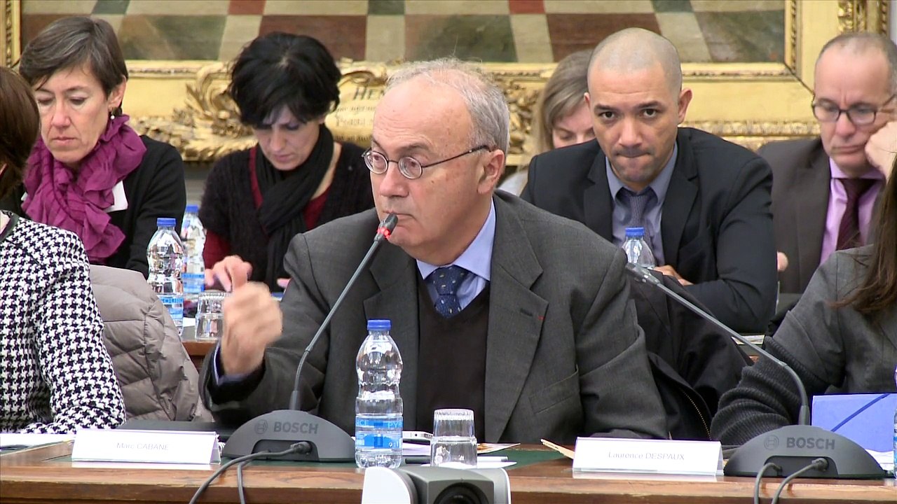 Conseil municipal du 26 janvier 2015