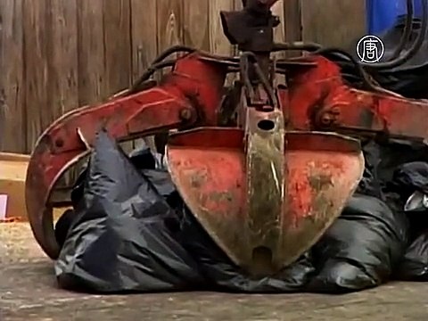 На Тайване забили 1 млн. 300 тыс. птиц из-за птичьего гриппа