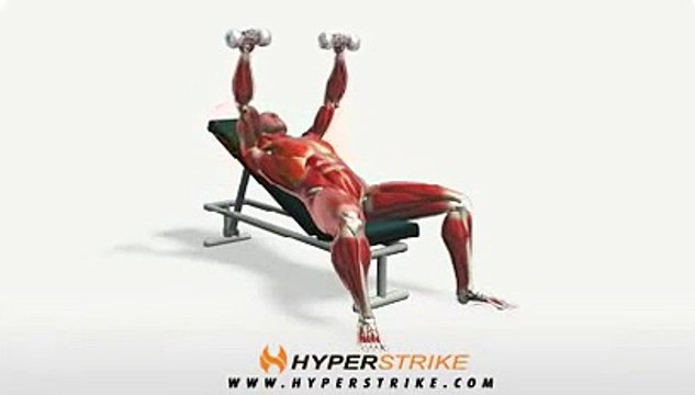 Workout Manager - Dumbbell Incline Bench Press (Chest Exercises)