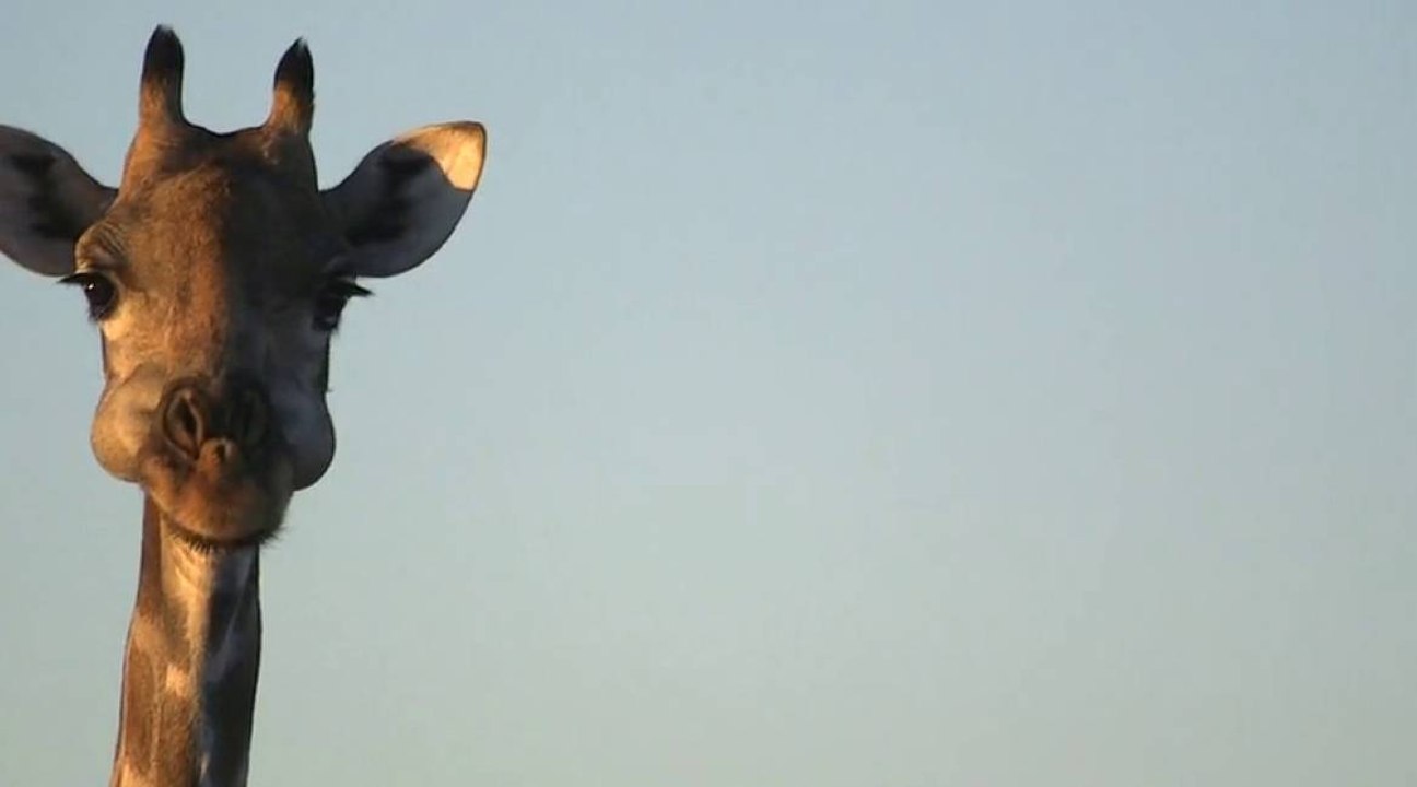 Un trip unique en Namibie : Make My Day par Jérémie Eloy