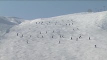 Geleceğin Kayakçıları Bitlis'te Yetişiyor