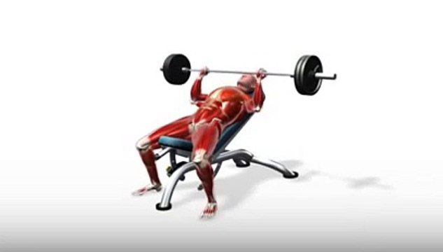Workout Manager - Incline Bench Press (Chest Exercises)