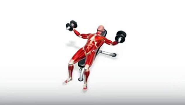 Workout Manager - Incline Dumbbell Fly (Chest Exercises)