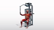 Workout Manager - Pectoral Fly (Chest Exercises)